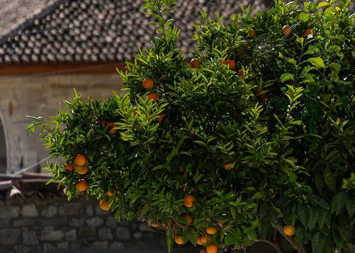 别墅 Era 培拉特